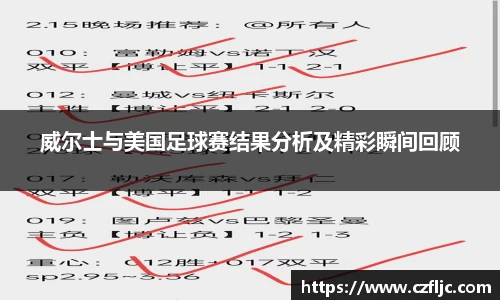 威尔士与美国足球赛结果分析及精彩瞬间回顾